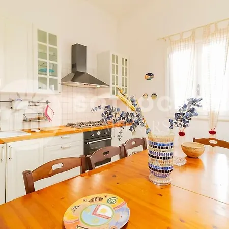 Zecca's Flat * سان فوكا